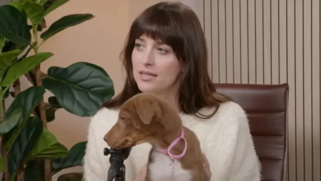 Dakota Johnson's Achievements and Humanitarian Work: BAFTA, Time's Up, and Beyond